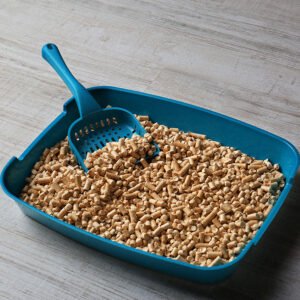 Litter Trays & Accessories